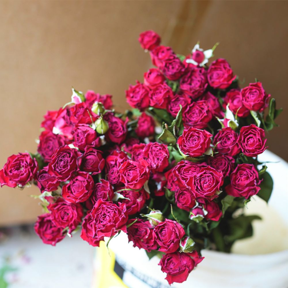 Resin Art Rose - Bouquet de roses séchées naturelles, idéal