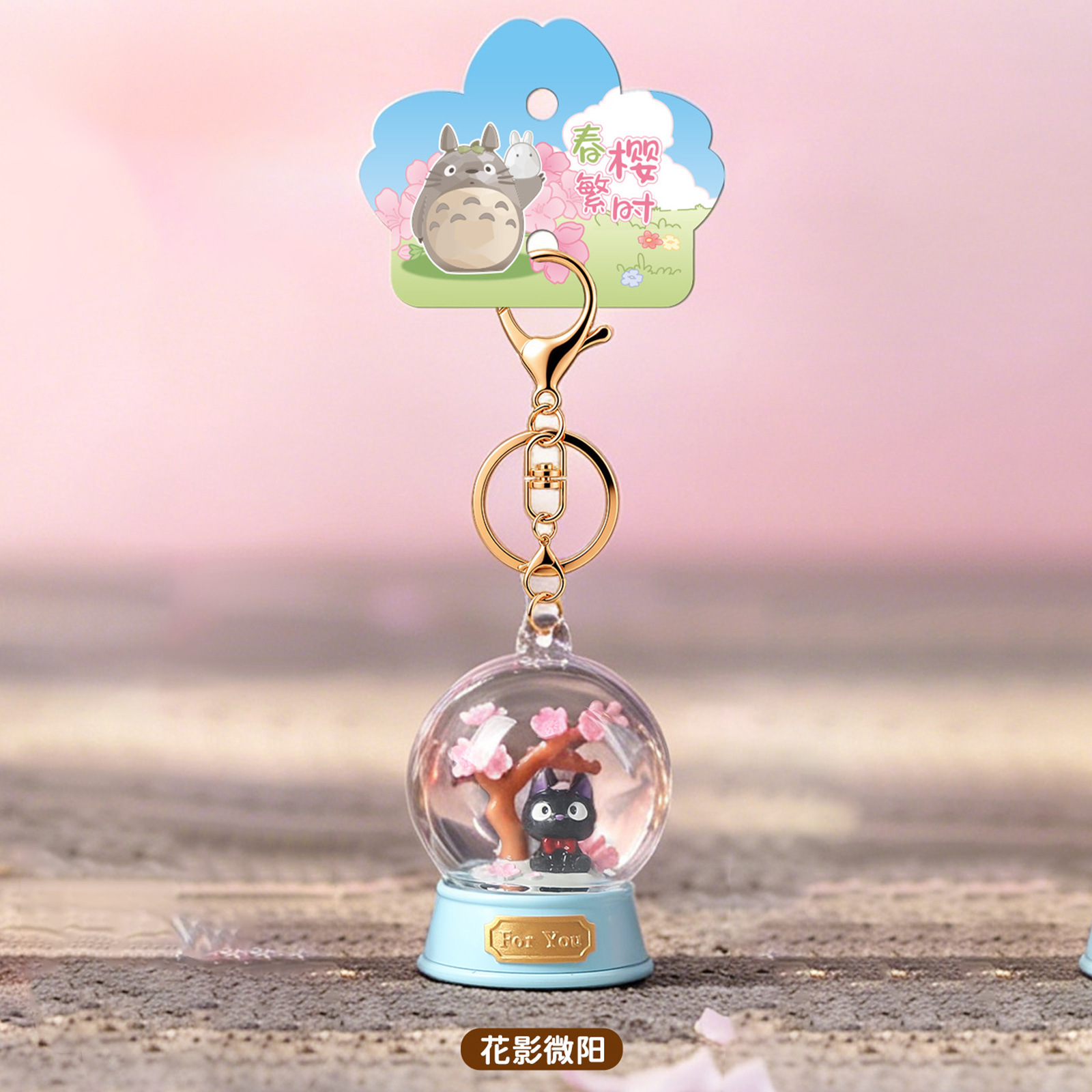 Hayao Miyazaki Blind Box Porte - Resin Art Case avis et prix