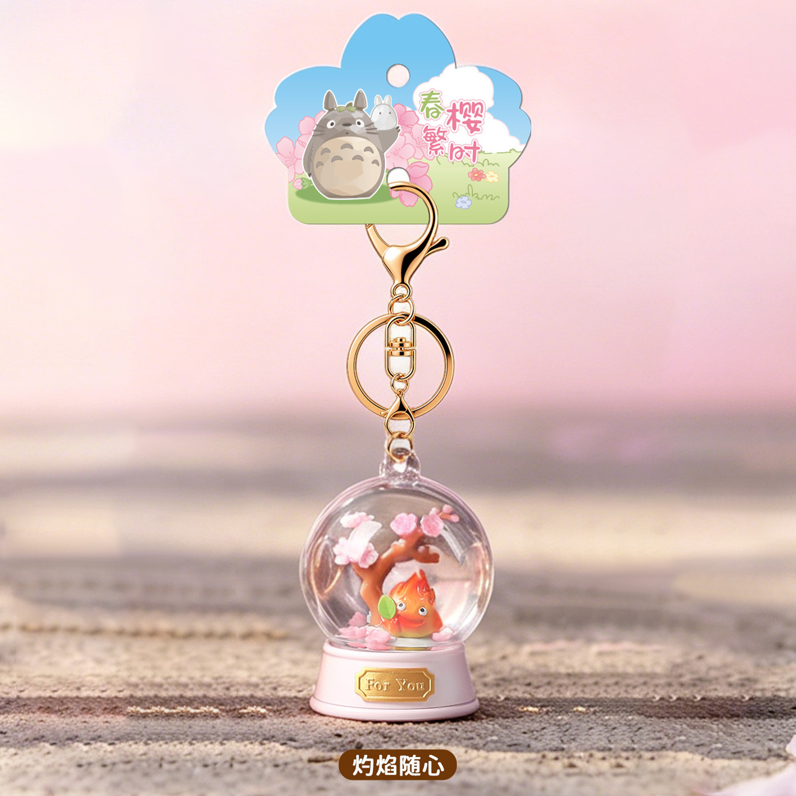 Hayao Miyazaki Blind Box Porte - Resin Art Case avis et prix