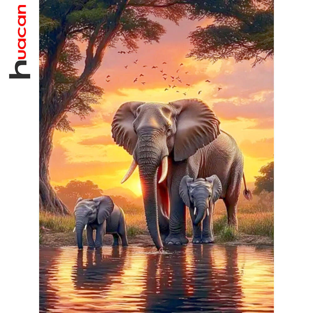 Huacan éléphant coucher de sol - Resin Art Wallpaper avis et prix