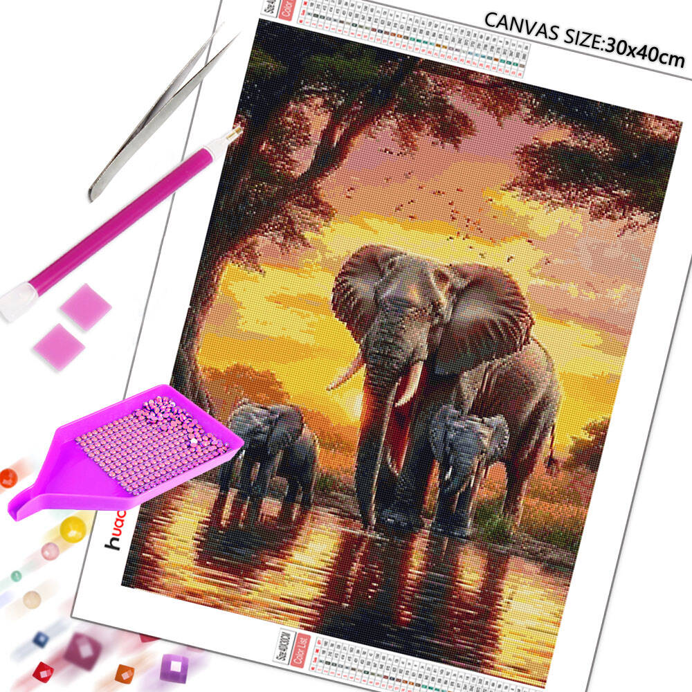 Huacan éléphant coucher de sol - Resin Art Wallpaper avis et prix