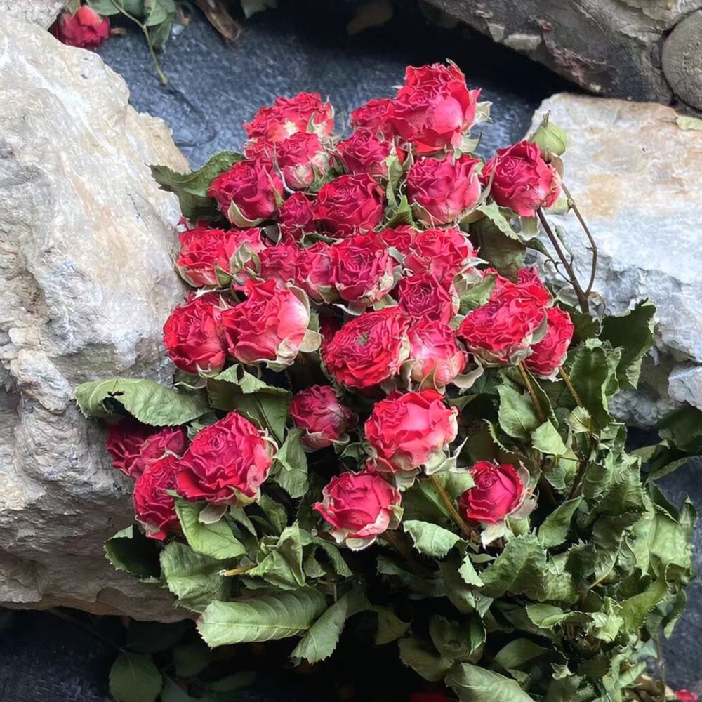 Bouquet de roses séchées natur - Resin Art Rose avis et prix