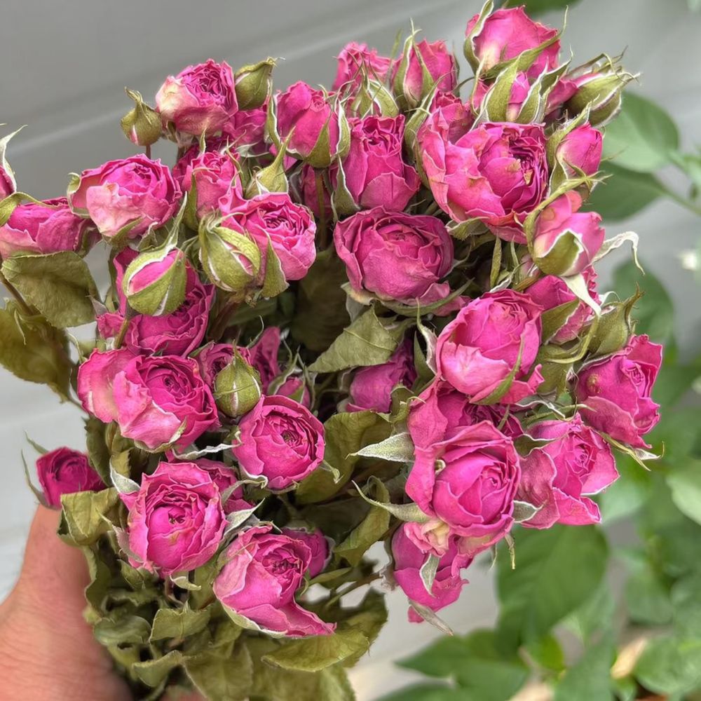 Bouquet de roses séchées natur - Resin Art Rose avis et prix
